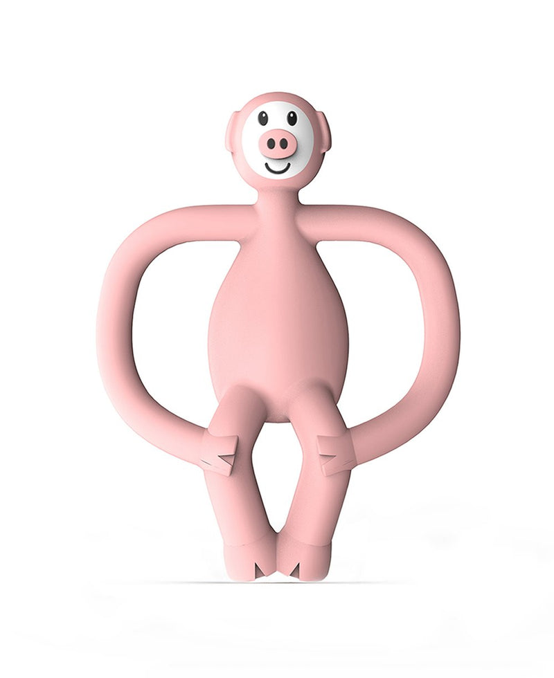 Matchstick PICKLE PIG BABY TEETHER  In Case. - Award Winning